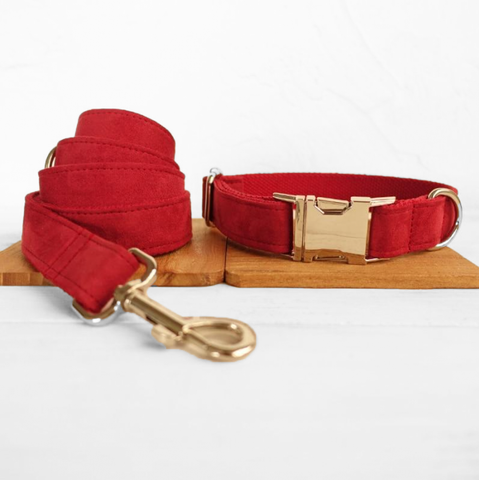 OFFCOLLAR™ Premium Leather and Suede Adjustable Collar with Suede Leash Set